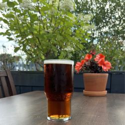 Kings Arms - Great beer patio
