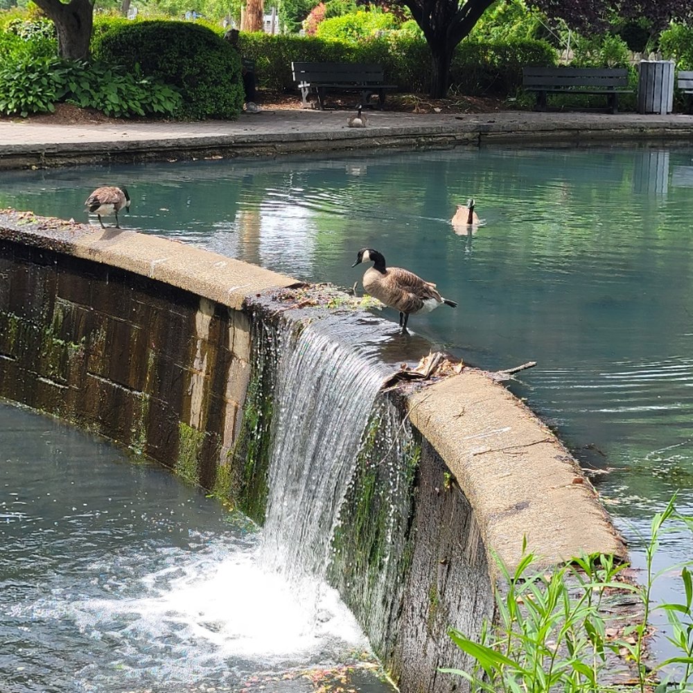 Baxter’s Pond Park - The "waterfall" at Baxter Pond Park. - Parks Near Me - Port Washington, New York Baxter’s Pond Park - The "waterfall" at Baxter Pond Park. - Parks Near Me - Port Washington, New York