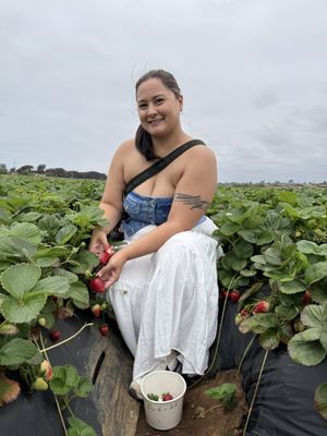 Carlsbad Strawberry Company by null