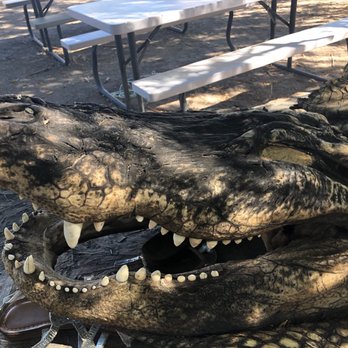 Colorado Gators Reptile Park - On display - Zoos Near Me - Mosca, Colorado