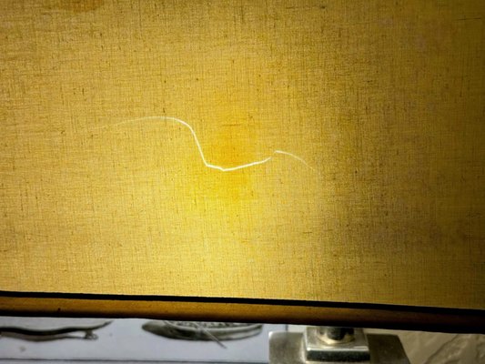 The Cheshire by null