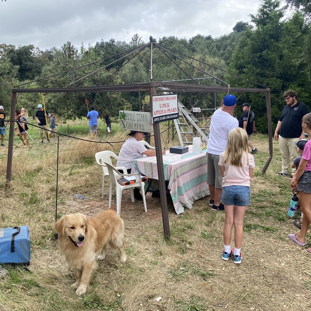 Apple Starr Orchards - CLOSED - a group of people and a dog - Pick Your Own Farms Near Me - Julian, California Apple Starr Orchards - CLOSED - a group of people and a dog - Pick Your Own Farms Near Me - Julian, California