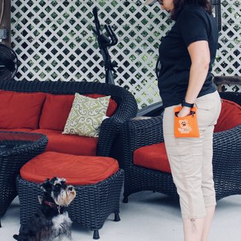 VivaPaws Training & Behavior - Pet Training Near Me VivaPaws Training & Behavior - Pet Training Near Me