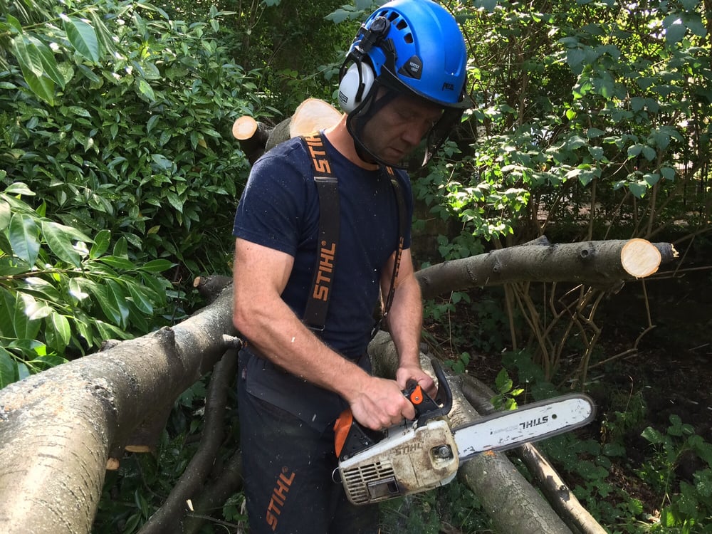 COTFIELD HEDGEWORKS Rectory Place, Gateshead, Tyne and Wear, United