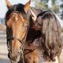 Equestrians Excellence