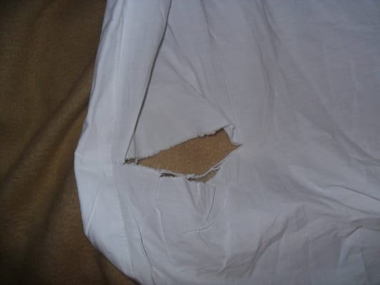 The Coeur d'Alene Resort by null