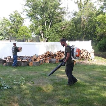 Prates Tree Service - Superior clean up after Tree Removal service - Tree Services Near Me - Maple Shade, New Jersey Prates Tree Service - Superior clean up after Tree Removal service - Tree Services Near Me - Maple Shade, New Jersey