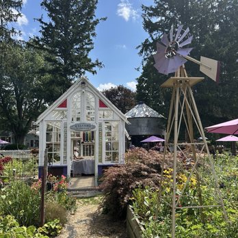 Lavender Bliss Flower Farm - In the garden - Attraction Farms Near Me - Bridgman, Michigan Lavender Bliss Flower Farm - In the garden - Attraction Farms Near Me - Bridgman, Michigan