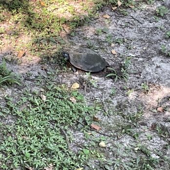 A.J. Henry Park - Parks Near Me - Tallahassee, Florida