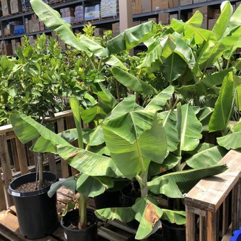 Lowe's Home Improvement - Hardware Stores Near Me - Honolulu, Hawaii