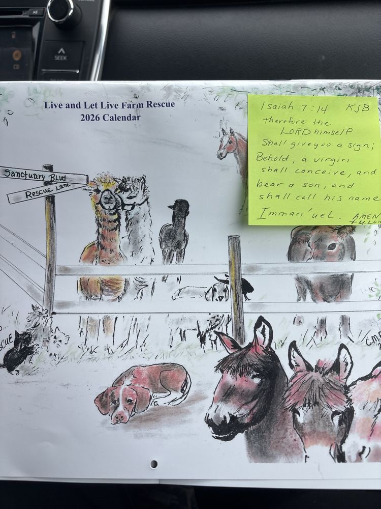 Chichester Country Store Logo