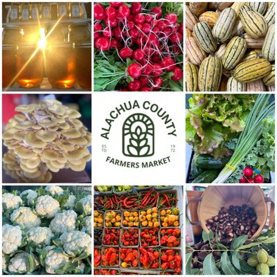 Alachua County Farmers' Market by null