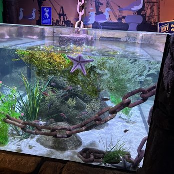 SEA LIFE Grapevine Aquarium - Aquariums Near Me - Grapevine, Texas SEA LIFE Grapevine Aquarium - Aquariums Near Me - Grapevine, Texas