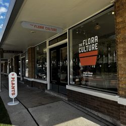 Ollie Shop - The Ollie shop