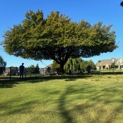 Sam's Tree Service & Stump Grinding  