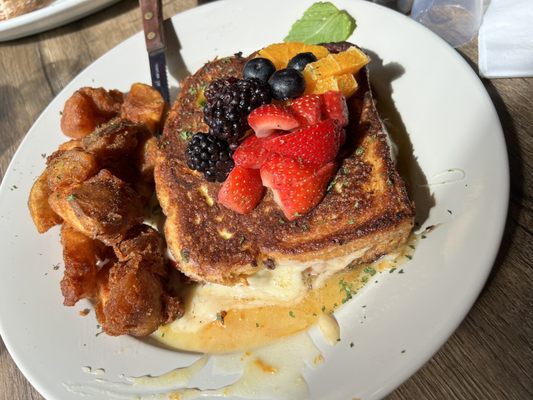 Peacock Pansy by null