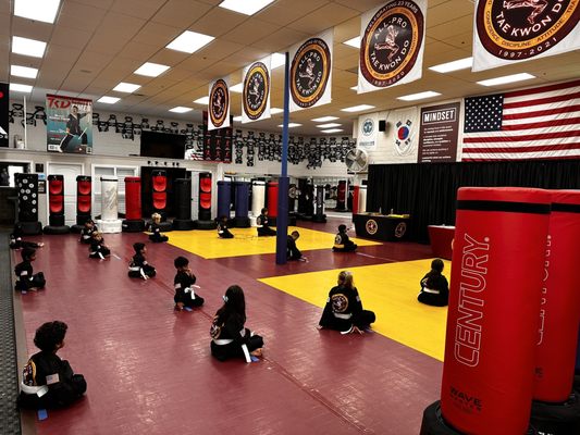 ALL-PRO TAE KWON DO ACADEMY - Updated April 2025 - 51 Photos & 273