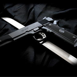 Sharp Shooters Safe & Gun