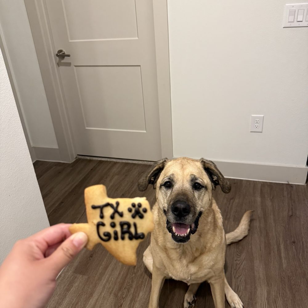 Three Dog Bakery - Tx girl cookie - Pet Stores Near Me - Fort Worth, Texas Three Dog Bakery - Tx girl cookie - Pet Stores Near Me - Fort Worth, Texas