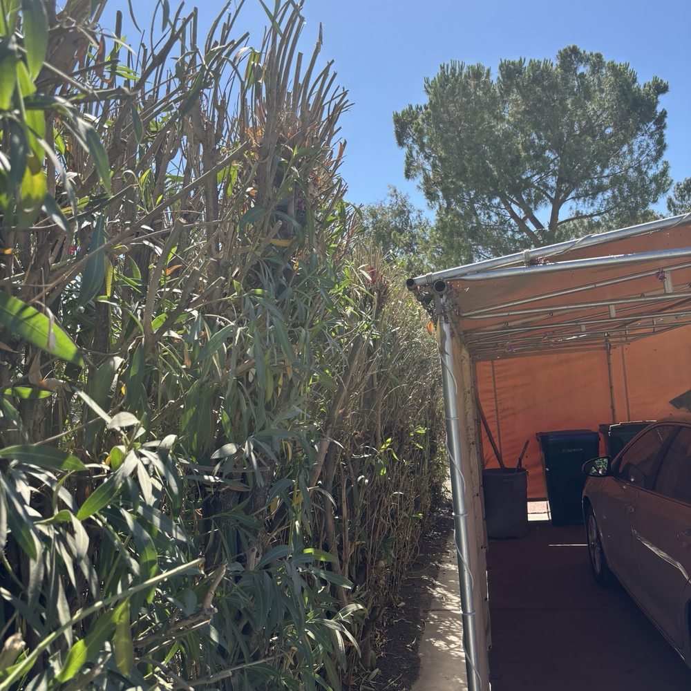 Wias Landscaping Services - Car port - Fences & Gates Near Me