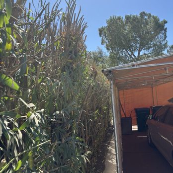Wias Landscaping Services - Car port - Fences & Gates Near Me Wias Landscaping Services - Car port - Fences & Gates Near Me