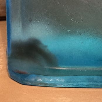 The Slide Inn - Black mold at the bottom of the water bottle (about 1" glob. - New American Near Me - Portland, Oregon