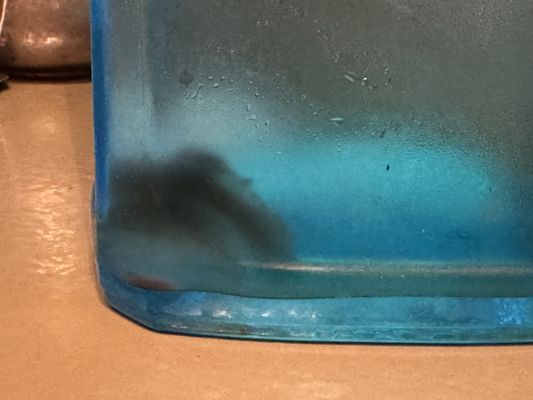 The Slide Inn by null