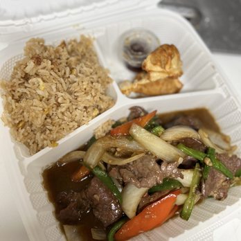 Thai Star Go - Combo Plate: Mongolian Beef Fried Rice and Gyoza - Thai Near Me - Providence, Rhode Island