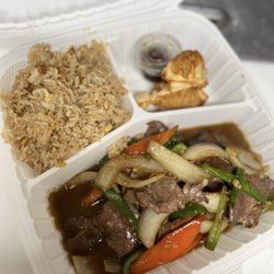 Thai Star Go - Combo Plate: Mongolian Beef Fried Rice and Gyoza