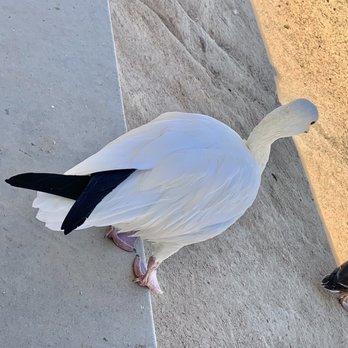 Apollo Community Regional Park - Wow - Parks Near Me - Lancaster, California Apollo Community Regional Park - Wow - Parks Near Me - Lancaster, California