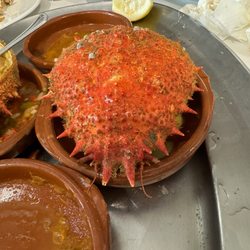 O Portón - Crab shell