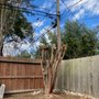 Photo of Al's Tree Service