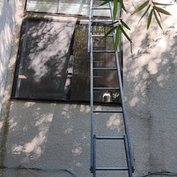 Kevin's Professional Window Washing