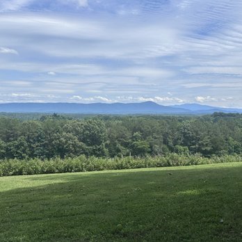 Morris Vineyard - Wineries Near Me - Charleston, Tennessee Morris Vineyard - Wineries Near Me - Charleston, Tennessee