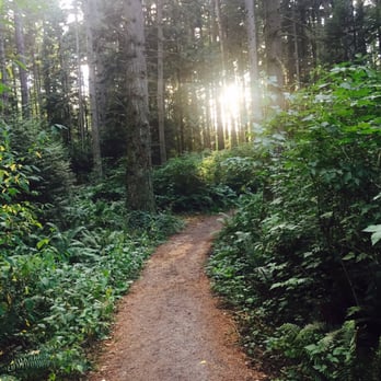 Bridle Trails State Park - Parks Near Me - Kirkland, Washington