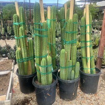 Hurley's Nursery - Nurseries & Gardening Near Me - Las Vegas, Nevada