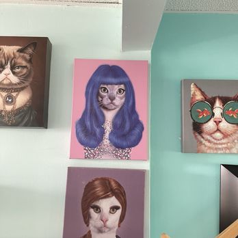 Good Luck Cat Cafe - Pet Services Near Me - Fort Lauderdale, Florida