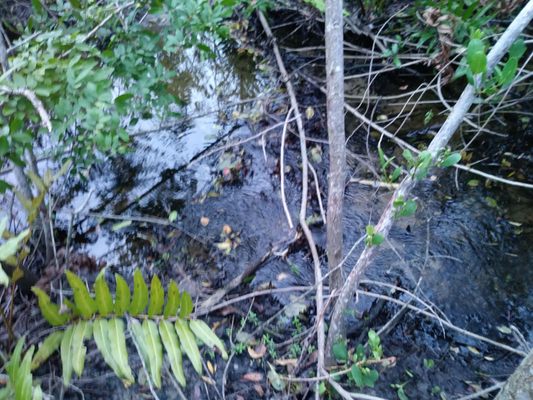 Boca Ciega Millennium Park by null