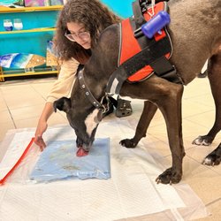 Makers Art Studio - Did you know about our Furry friends party? Its a ton of fun and a memory for ever