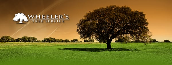 Wheeler's Tree Service