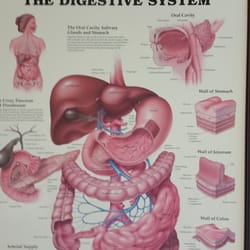Adult Gastroenterology Associates, Main - This is the business