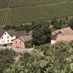 Weingut Danner