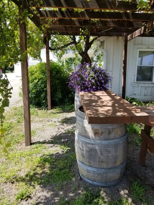 Keuka Lake Vineyards by null