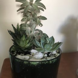 Great succulent dish