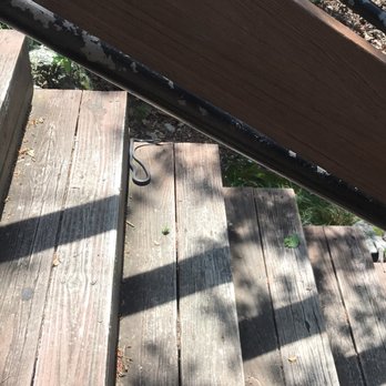 Cheaha State Park - snake - Hiking Near Me - Delta, Alabama