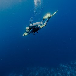 Scuba 10 - Become an experience diver! #divewithus #divescuba10