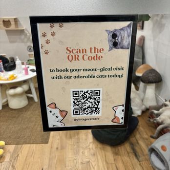 Vintage Cat Cafe - Coffee & Tea Near Me - Toronto, Ontario
