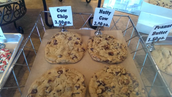 Cow Chip Cookies by null
