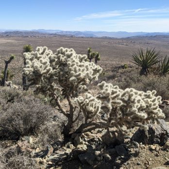 Ryan Mountain - Hiking Near Me - Twentynine Palms, California Ryan Mountain - Hiking Near Me - Twentynine Palms, California