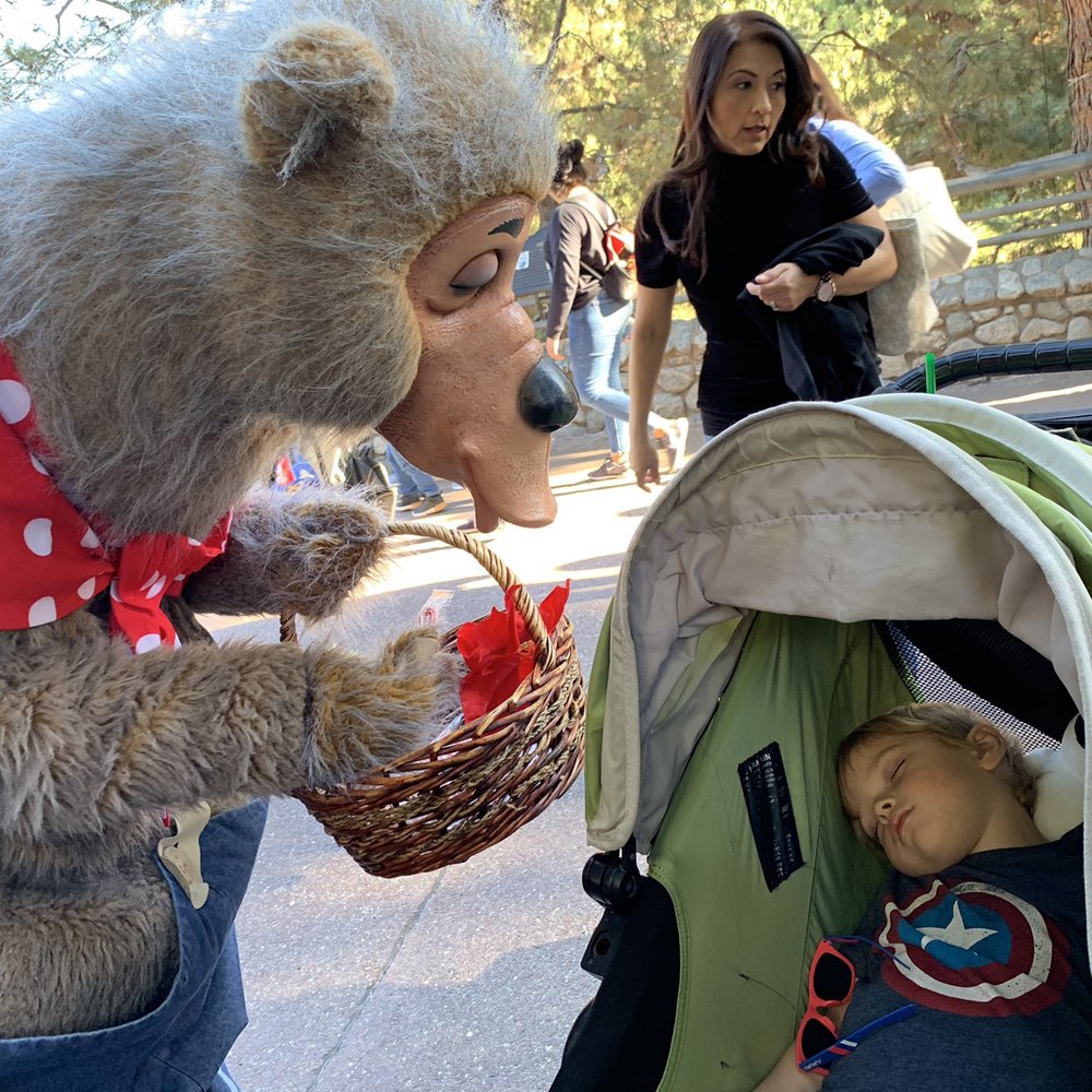 City Stroller Rentals - Baby Gear & Furniture Near Me City Stroller Rentals - Baby Gear & Furniture Near Me